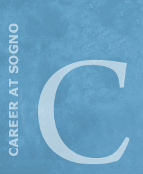 Carriera in Sogno